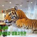 상주 아이와 가볼 만한 곳 국립낙동강생물자원관 실내 여행 후기