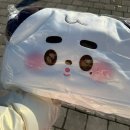 단풍이네 그루밍샵 | 11월의 주2