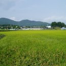 풍천중학교 이미지