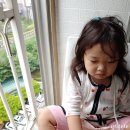 신흥빌 | 관저동미용실 아기파마하기 좋은 여우별 돈주고달려갔다옴