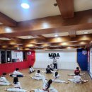 엘지태권도장 이미지