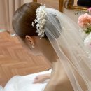 끌레르 | 청주 아모르아트 끌레르 본식 드레스 후기 / 오간자실크 드레스 후기