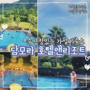 다인호텔앤리조트 | 제주 산방산 근처 가성비 숙소 ｜ 수영장있는 담모라 호텔앤리조트 후기