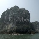 부산그린여행사