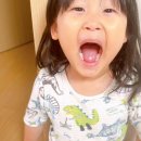 (주)다림바이오텍 | 초코크럼블이 씹히는 어린이유산균 비비드몽타주 올퓨어 프로바이오틱스 리얼후기