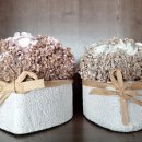 성북-돈암-2042 이미지