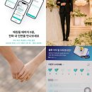 한국결혼정보 | 결정사 후기 비용 결혼정보업체 대신 후불제 소개팅 플롯