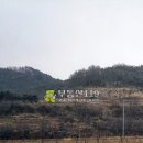 신구리농장 Daum카페