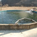 수청횟집 이미지