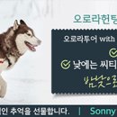 8월5.6.7토피노여행가실분 이미지