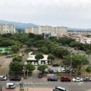 에이스텔 이미지