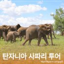 기성농장 | 탄자니아 사파리 투어 비용과 예약, 일정 확인방법