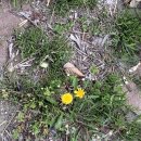 꿀참나무숲 유치원 이미지