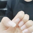 수담네일 이미지