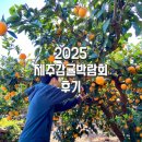 태백시농업기술센터 | 2025 제주감귤박람회 후기 아이와놀거리 서귀포농업기술센터
