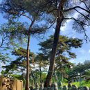 장수골 민박(안동펜션) 이미지