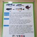 거제복집 이미지