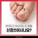 레푸스 판교점 이미지