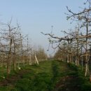 장금농장 이미지