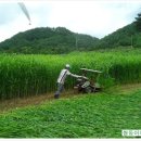 쌍둥이네 농장 이미지