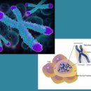 웰에이징김정혁내과의원 이미지