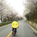 경춘선 자전거도로9 이미지