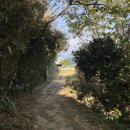 아라돔하우스 이미지