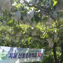 영규농장 이미지