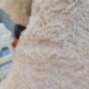 덕자네 미용실 이미지