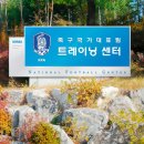 조명사