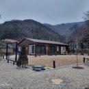 시고르까사 이미지