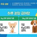 퍼피키티 이미지