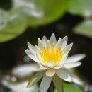 창원 불곡사 일주문 | 창원 비음산 불곡사에 다녀오다.