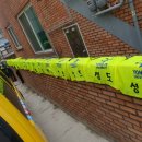 용인대 수영 태권도장 이미지