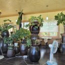 동네찻집 이미지