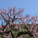 카페링크 이미지