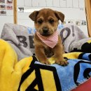 안골로108번길 이미지