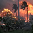 하와이의 불의 재난 이미지