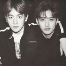 시그널하우스 이미지