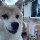 토담스펫 이미지