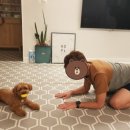 옷이목욕하는날 이미지