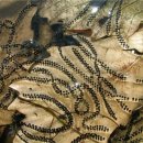 동물식물 생태체험교실 이미지