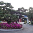 기회송림 화장실 이미지