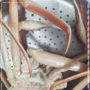 금성유통 이미지