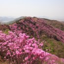 고려산주유소 이미지