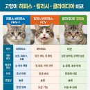 아델동물병원 이미지