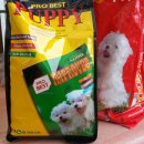 인천가축원 이미지