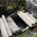 작은등샘 이미지