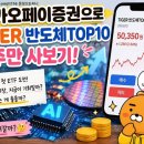 카카오페이증권으로 TIGER 반도체TOP10 1주 매수한 후기