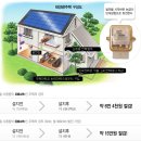 프로젝트그린